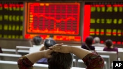 一位投资者在北京一家证券公司观看股市走向显示屏。(2015年8月21日)