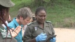 美国高官呼吁国际合作打击偷猎野生动物