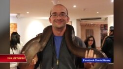 Thầy giáo Mỹ bị ‘mời làm việc’ vì xúc phạm tướng Giáp Thầy giáo Mỹ bị ‘mời làm việc’ vì xúc phạm tướng Giáp