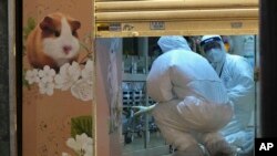 香港防疫人员在一家宠物商店里检测新冠病毒。(2022年1月18日)