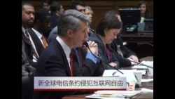 国会听证:新全球电信条约侵犯互联网自由 国会听证:新全球电信条约侵犯互联网自由