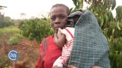 ዘርኢ ቡን ኤክሰላ፡ ንመነባብሮ ሓረስቶት ደቡብ ሱዳን የመሓይሽ’ዶ ይኸውን? ዘርኢ ቡን ኤክሰላ፡ ንመነባብሮ ሓረስቶት ደቡብ ሱዳን የመሓይሽ’ዶ ይኸውን?