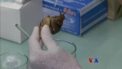 ဒီသီတင်းပတ် အာရှ စီးပွားရေး ဒီသီတင်းပတ် အာရှ စီးပွားရေး