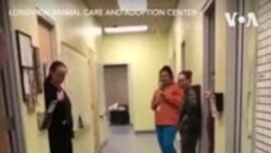 အကဝါသနာရှင် သိုးကလေး အကဝါသနာရှင် သိုးကလေး