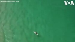 ဒရုန်းဗီဒီယိုကြောင့် အသက်အန္တရာယ်လွတ်မြောက်ခဲ့သူ ဒရုန်းဗီဒီယိုကြောင့် အသက်အန္တရာယ်လွတ်မြောက်ခဲ့သူ