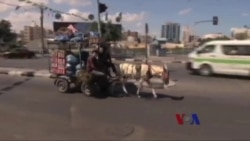 短暂停火,加沙民众稍事喘息 短暂停火,加沙民众稍事喘息