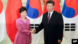 中国国家主席习近平(右)在北京人大会堂与前来参观北京阅兵仪式的韩国总统朴槿惠握手。(2015年9月2日)