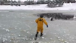 Пожежники врятували собаку із замерзлого ставка в штаті Колорадо. Відео Пожежники врятували собаку із замерзлого ставка в штаті Колорадо. Відео