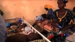 致命昆虫毒液可入药 致命昆虫毒液可入药