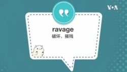 学个词 - ravage