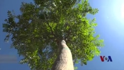 拉斯维加斯人用各种方式帮助这座城市疗伤 拉斯维加斯人用各种方式帮助这座城市疗伤