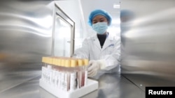 位于云南昆明的中国华大基因集团实验室的科技人员在工作。(2018年12月26日)