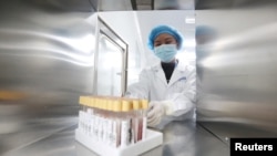 位于云南昆明的中国华大基因集团实验室的科技人员在工作。(2018年12月26日)