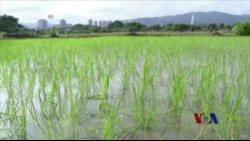 解决中国土壤污染问题任重道远 解决中国土壤污染问题任重道远