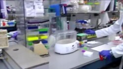 治疗癌症的新希望 治疗癌症的新希望