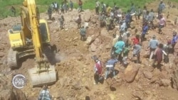 ኣዘራራቢ ዕደና ወርቂ ክልል ትግራይ ኣዘራራቢ ዕደና ወርቂ ክልል ትግራይ