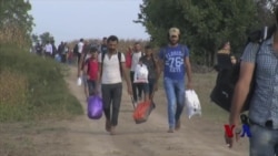 法国反移民言论抬头 法国反移民言论抬头