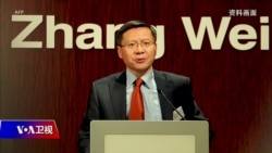 时事大家谈:“战狼国师”奉旨宣教,习近平会放弃战狼外交? 时事大家谈:“战狼国师”奉旨宣教,习近平会放弃战狼外交?