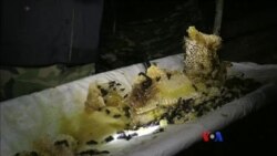 ဒီသီတင်းပတ် အာရှစီးပွားရေး ဒီသီတင်းပတ် အာရှစီးပွားရေး