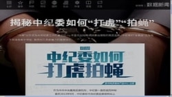 时事大家谈:中纪委打虎创纪录 中共反腐迎来“兴奋点”? 时事大家谈:中纪委打虎创纪录 中共反腐迎来“兴奋点”?