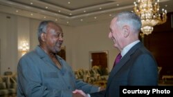 美国防长马蒂斯2017年4月23日会见吉布提总统盖莱 (美国国防部照片)