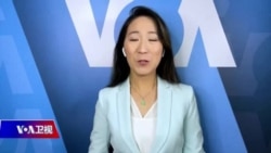 海峡论谈:科学家:病毒起源不可能永远是个谜/专访《习近平 :全世界最有权势的人》一书作者佳杰思 海峡论谈:科学家:病毒起源不可能永远是个谜/专访《习近平 :全世界最有权势的人》一书作者佳杰思