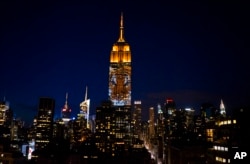 纽约帝国大厦星期六晚间投影津巴布韦狮王塞西尔的图像(2015年8月1日)