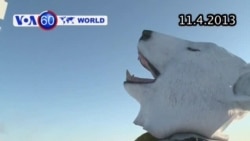 Bình Nhưỡng tuyên bố sẵn sàng khai hỏa (VOA60) Bình Nhưỡng tuyên bố sẵn sàng khai hỏa (VOA60)