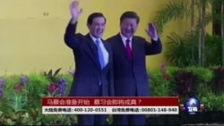海峡论谈:马蔡会准备开始,蔡习会即将成真? 海峡论谈:马蔡会准备开始,蔡习会即将成真?