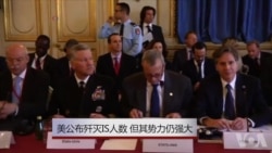 美公布歼灭IS人数 但其势力仍强大 美公布歼灭IS人数 但其势力仍强大