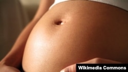 根据近20年数据,至2010年全美怀孕率和堕胎率双双创新低