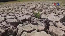 Hạn hán - Xâm mặn ở miền Tây Hạn hán - Xâm mặn ở miền Tây