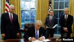 纳瓦罗(右)2017年1月26日在白宫出席一个签字仪式(路透社)