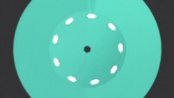 美国万花筒:美国学生白宫前倒地请愿;专家促关注社交媒体 预防枪击暴力;漫威新片《黑豹》票房火爆 美国万花筒:美国学生白宫前倒地请愿;专家促关注社交媒体 预防枪击暴力;漫威新片《黑豹》票房火爆