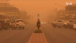 သြဇီပြည်နယ်(၂)ခုမှာ သဲမုန်တိုင်းတိုက် သြဇီပြည်နယ်(၂)ခုမှာ သဲမုန်တိုင်းတိုက်