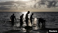 Para relawan aktivis lingkungan memunguti sampah-sampah plastik di pantai Boracay, Filipina (foto: ilustrasi).