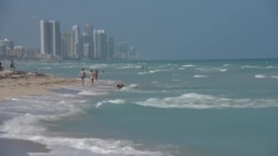 有人愿辞高薪工作在佛州海滩捡垃圾却甘之如饴 有人愿辞高薪工作在佛州海滩捡垃圾却甘之如饴