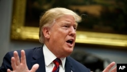 美国总统特朗普(2019年3月13日资料照片)