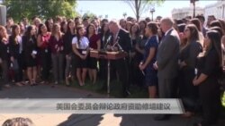 美国会委员会辩论政府资助修墙建议 美国会委员会辩论政府资助修墙建议