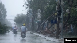 Cây cối bị đốn ngã sau bão Nari trên đường phố ở trung tâm thành phố Đà Nẵng, Việt Nam, ngày 15/10/2013.