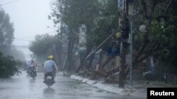 Cây cối đổ nát sau bão Nari trên đường phố ở trung tâm thành phố Đà Nẵng, Việt Nam, ngày 15/10/2013.