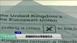 VOA连线(江静玲):英国脱欧协议草案被否决 VOA连线(江静玲):英国脱欧协议草案被否决