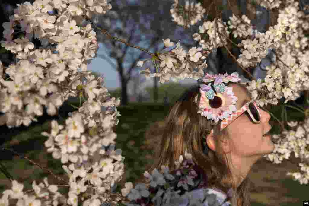 花丛中的一位8岁女孩儿戴着樱花和蝴蝶头饰,真花假花一色,人面樱花相映,人在花中照。