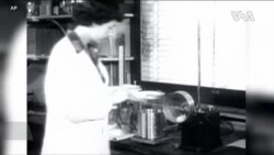 美国宇航员踏上月球之前 已有动物宇航员进入太空 美国宇航员踏上月球之前 已有动物宇航员进入太空