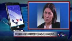 VOA连线: 中国逮捕一名瑞典籍非政府工作人员 VOA连线: 中国逮捕一名瑞典籍非政府工作人员