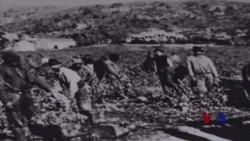 加州酒乡被遗忘的华人劳工 加州酒乡被遗忘的华人劳工