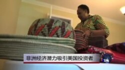 非洲经济潜力吸引美国投资者 非洲经济潜力吸引美国投资者