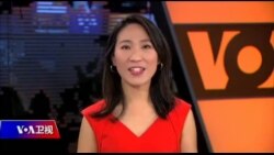 海峡论谈:“两岸一家亲”污名化 双城论坛避谈猪瘟? 海峡论谈:“两岸一家亲”污名化 双城论坛避谈猪瘟?