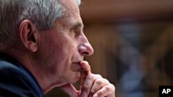 资料照:2021年5月26日,拜登总统的首席医学顾问弗契在国会山出席一个听证会。