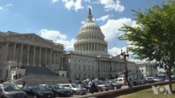 美中期选举临近 选民热情空前高涨 美中期选举临近 选民热情空前高涨